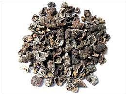 mungaaru organic dried amla – natural vitamin c superfood mungaaru organic dried amla – natural vitamin c superfood